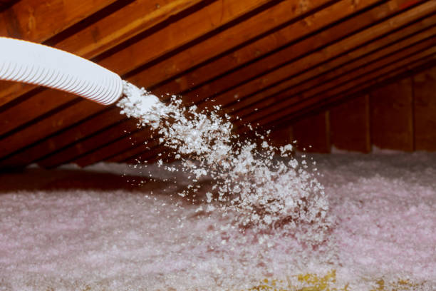 Best Types of Insulation in Bonita, CA